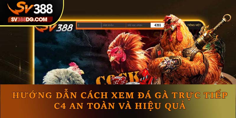 Hướng Dẫn Xem Đá Gà Trực Tiếp C4 An Toàn Và Hiệu Quả