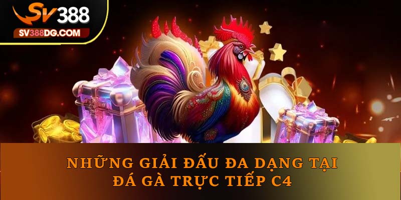 Những giải đấu đa dạng tại đá gà trực tiếp C4