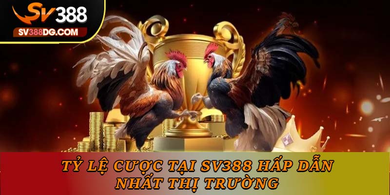 Tỷ lệ cược tại SV388 hấp dẫn nhất thị trường