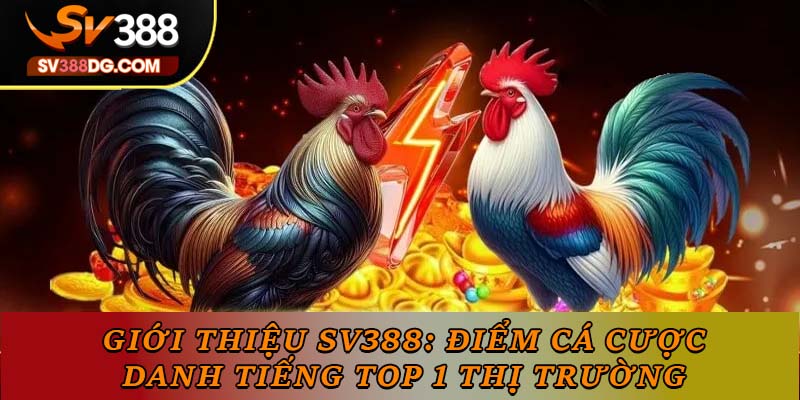 Giới Thiệu SV388: Điểm Cá Cược Danh Tiếng TOP 1 Thị Trường