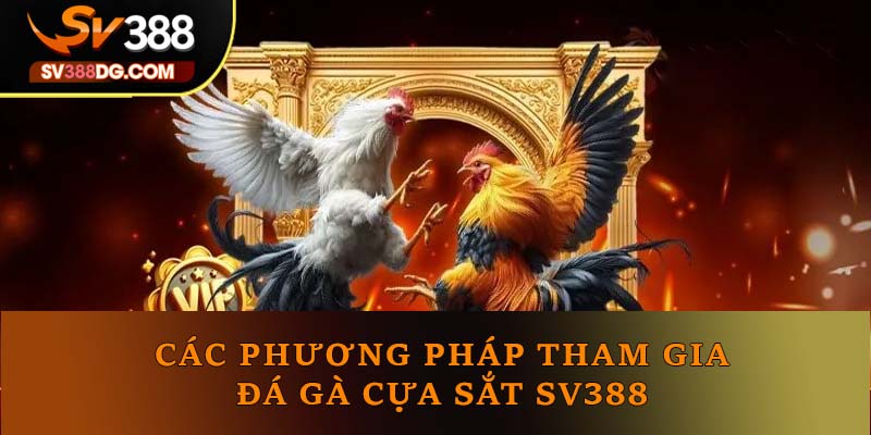 Các phương pháp tham gia đá gà cựa sắt SV388